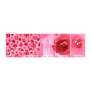 Photo Wallpaper Sample Self-Adhesive Deluxe Sticker - Roses at the Bottom and at the Top - Flowers, Beauty, Romanticism - 100x30 cm