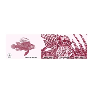 Photo Wallpaper Sample Self-Adhesive Deluxe Sticker - Dweller of Exotic Waters - Fish, Lionfish, Tropical - 100x30 cm