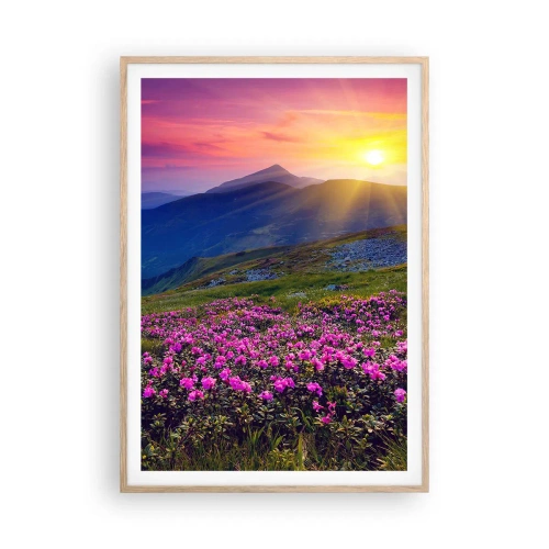 Poster in light oak frame - Surrounded by Mountain Pine and Herbs - 70x100 cm