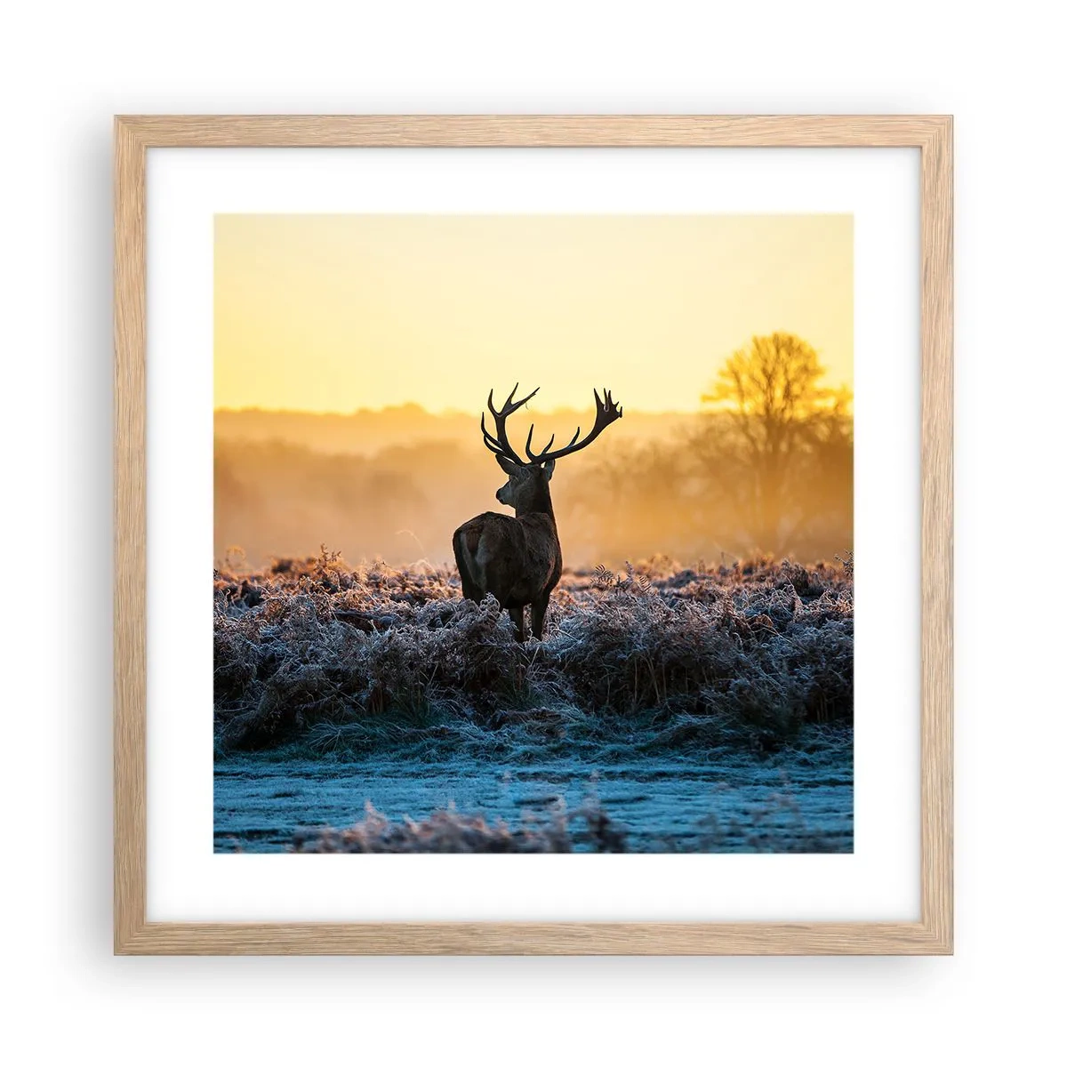 Poster in light oak frame - Crowned in Its Kingdom - 40x40 cm