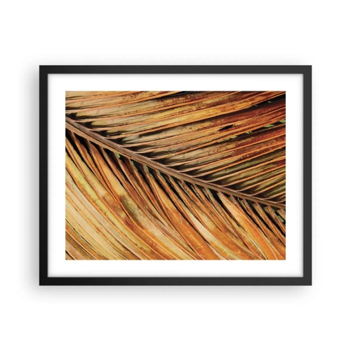 Poster in black frame - Coconut Gold - 50x40 cm