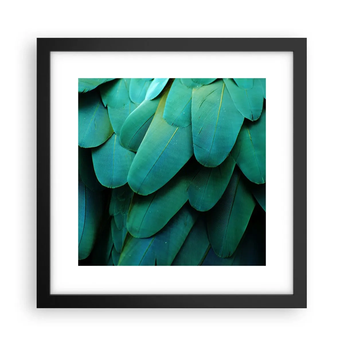 Poster in black frame - Precision of Parrot Nature - 30x30 cm