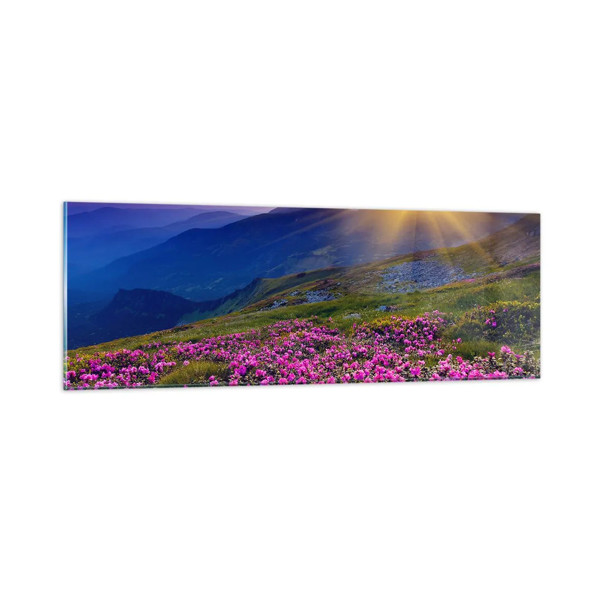 Glass picture - Surrounded by Mountain Pine and Herbs - 90x30 cm