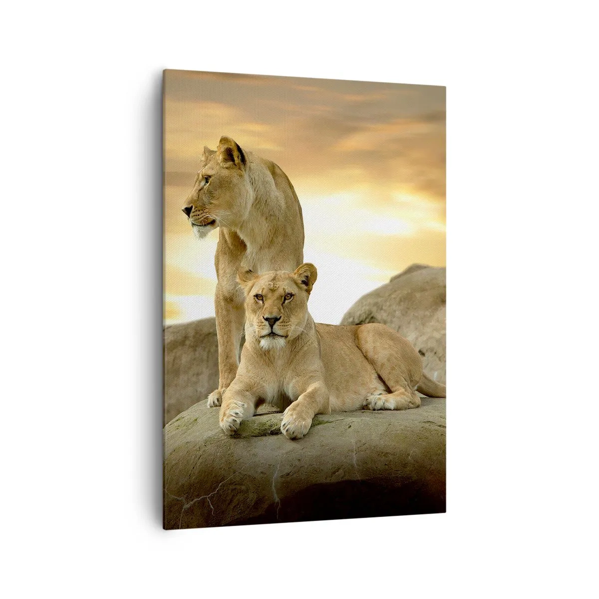 Canvas picture - Royal Majesty - 70x100 cm