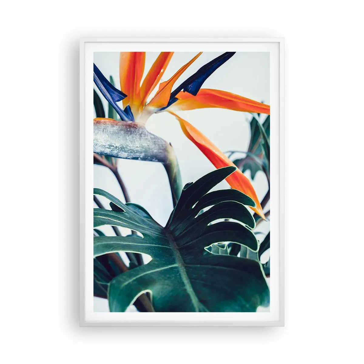 Poster in white frmae - Birdy Bush - 70x100 cm