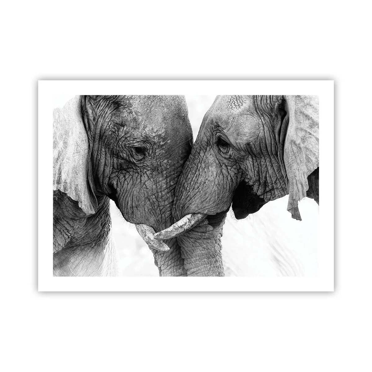 Poster - Hearty Confession - 70x50 cm