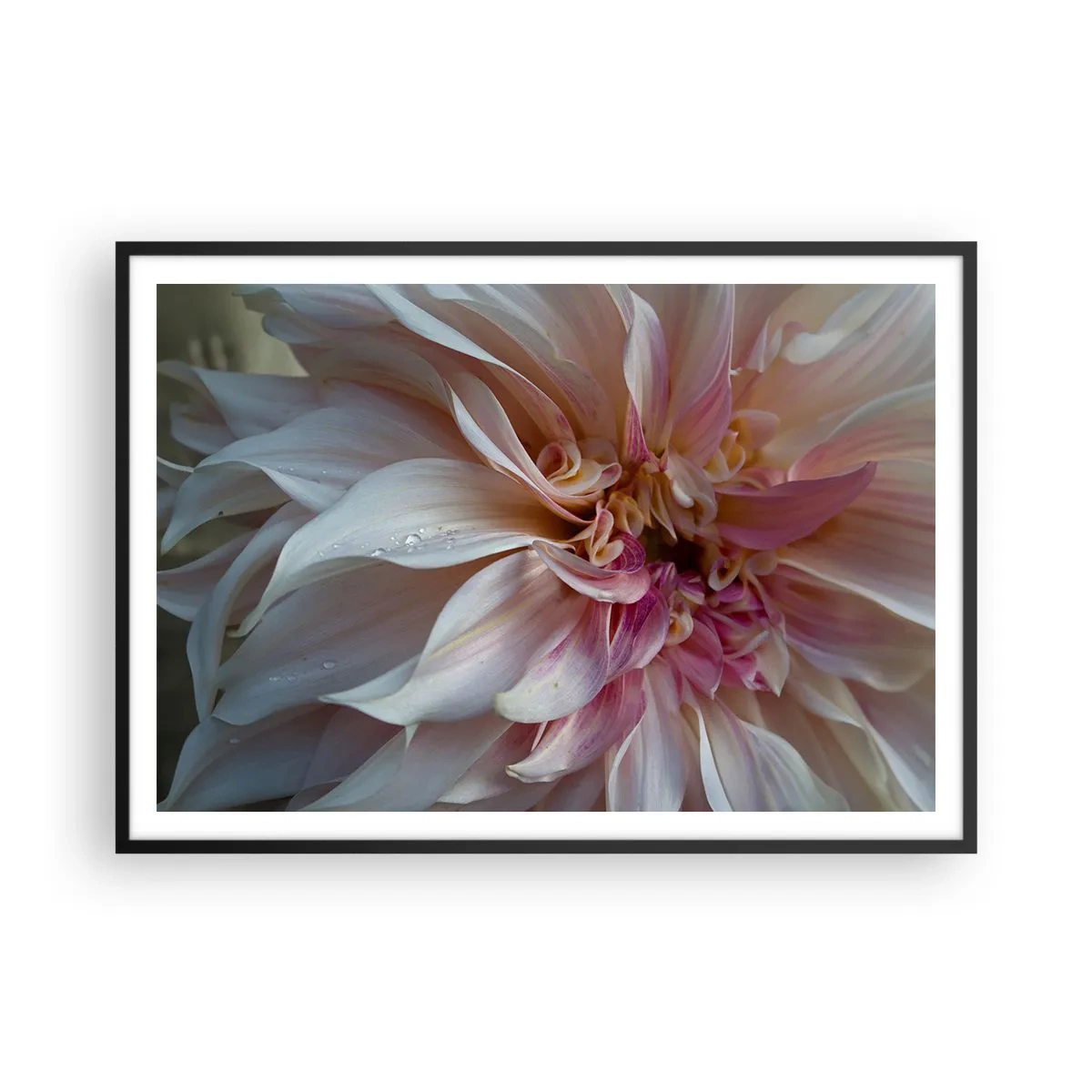 Poster in black frame - Blooming Freshness - 100x70 cm