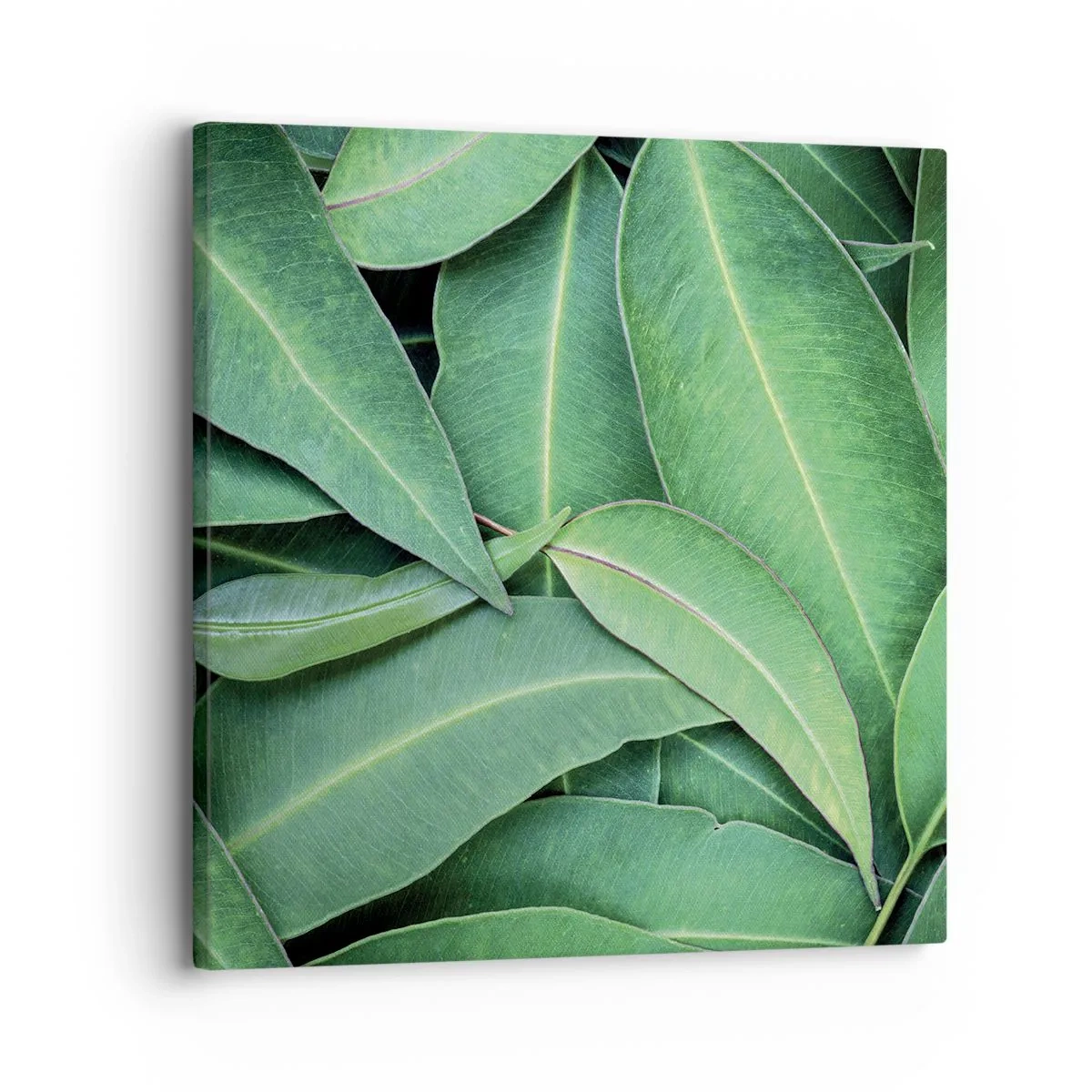 Canvas picture - Juicy and Fresh - 30x30 cm