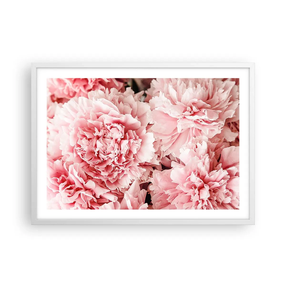 Poster in white frmae - Pink Dreams - 70x50 cm