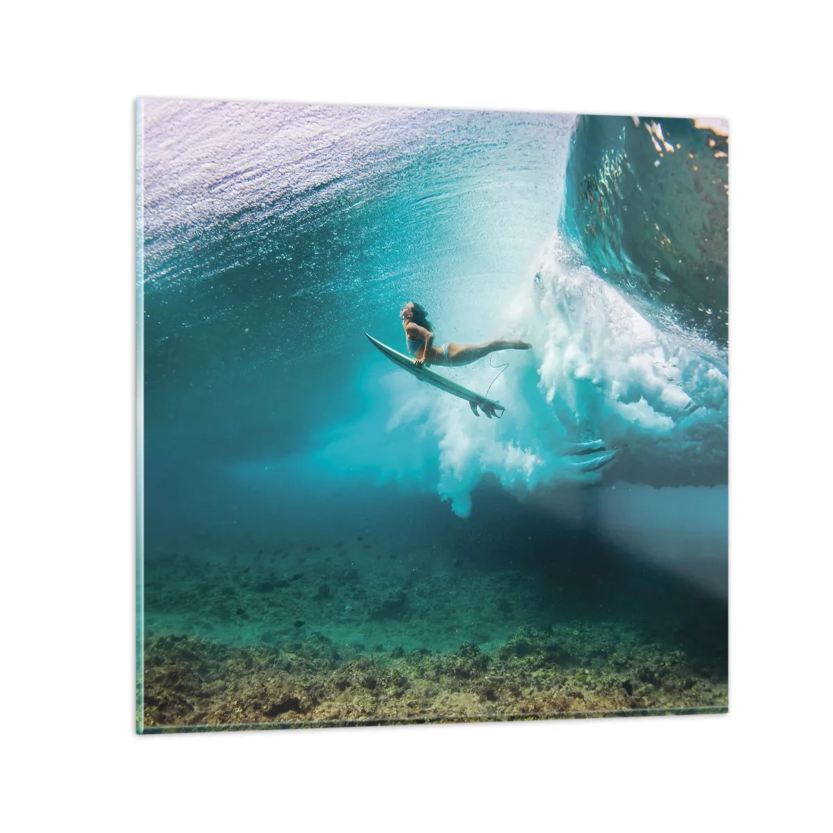 Glass picture - Undewater World - 40x40 cm