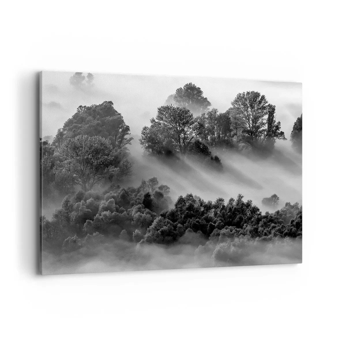 Canvas picture - Rising from a Sleep - 100x70 cm