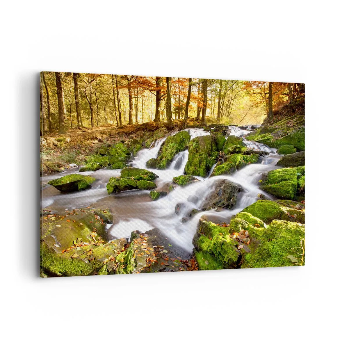 Canvas picture - Gingerly through an Autumnal Forest - 120x80 cm