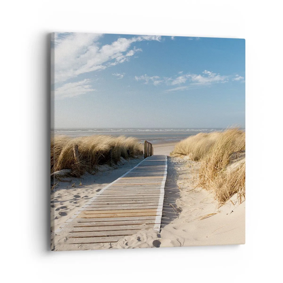 Canvas picture - Behind a Dune, in the Hum of Trees - 40x40 cm