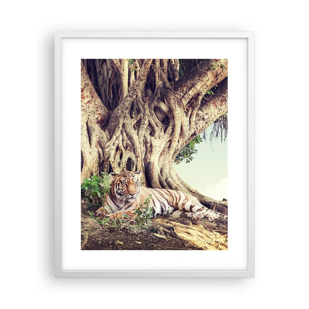 Poster in white frmae - View from the Genesis - 40x50 cm