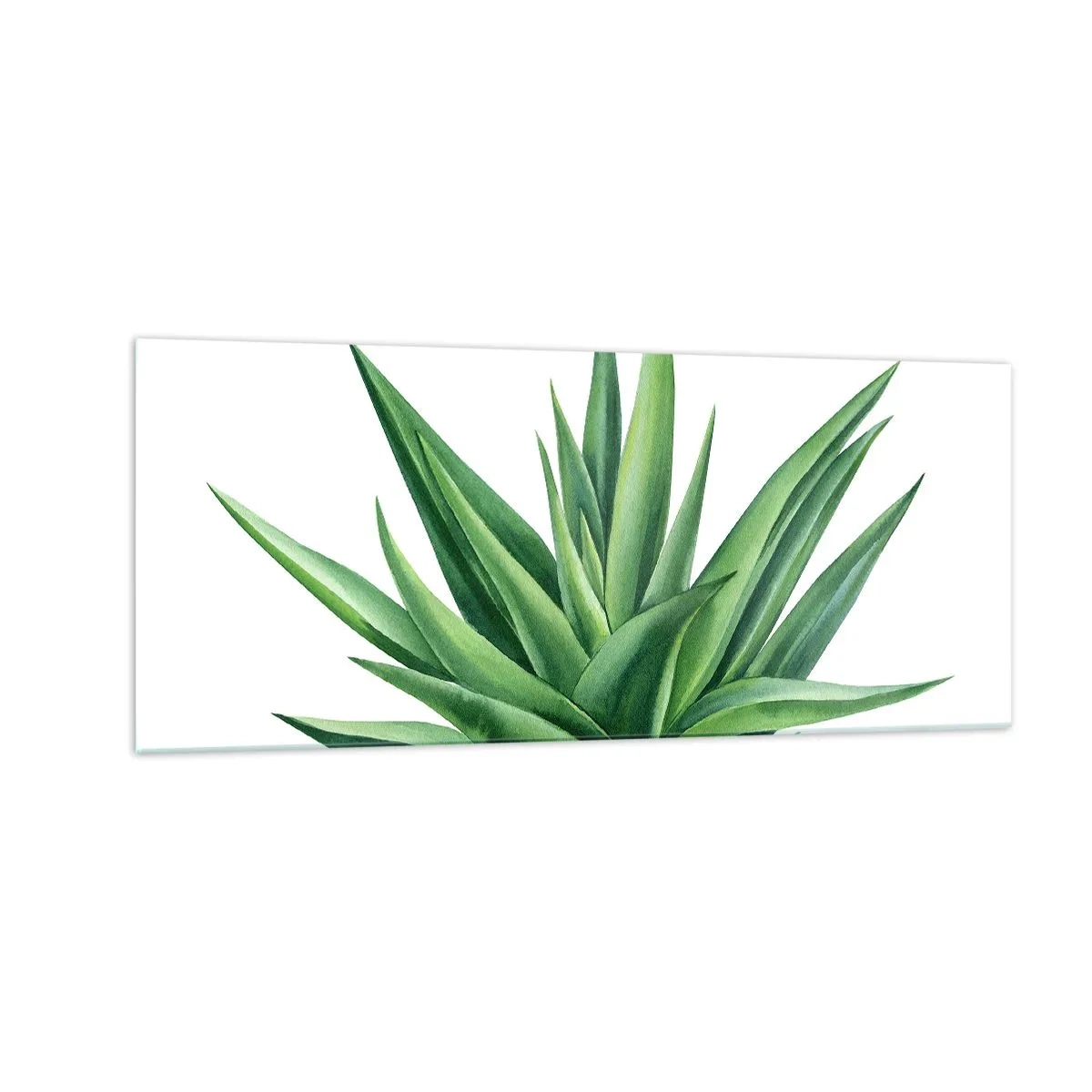 Glass picture - Green - Power - Life - 100x40 cm