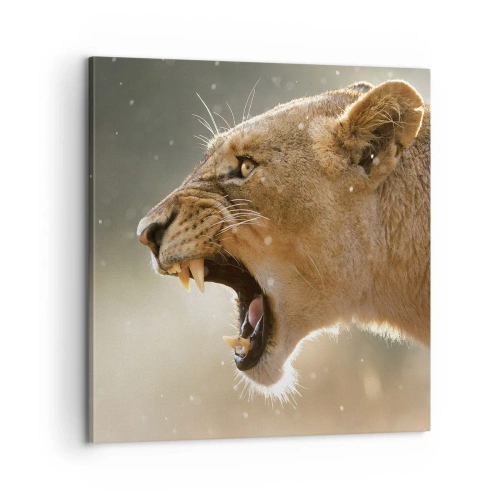 Canvas picture - Try Not to Listen - 60x60 cm