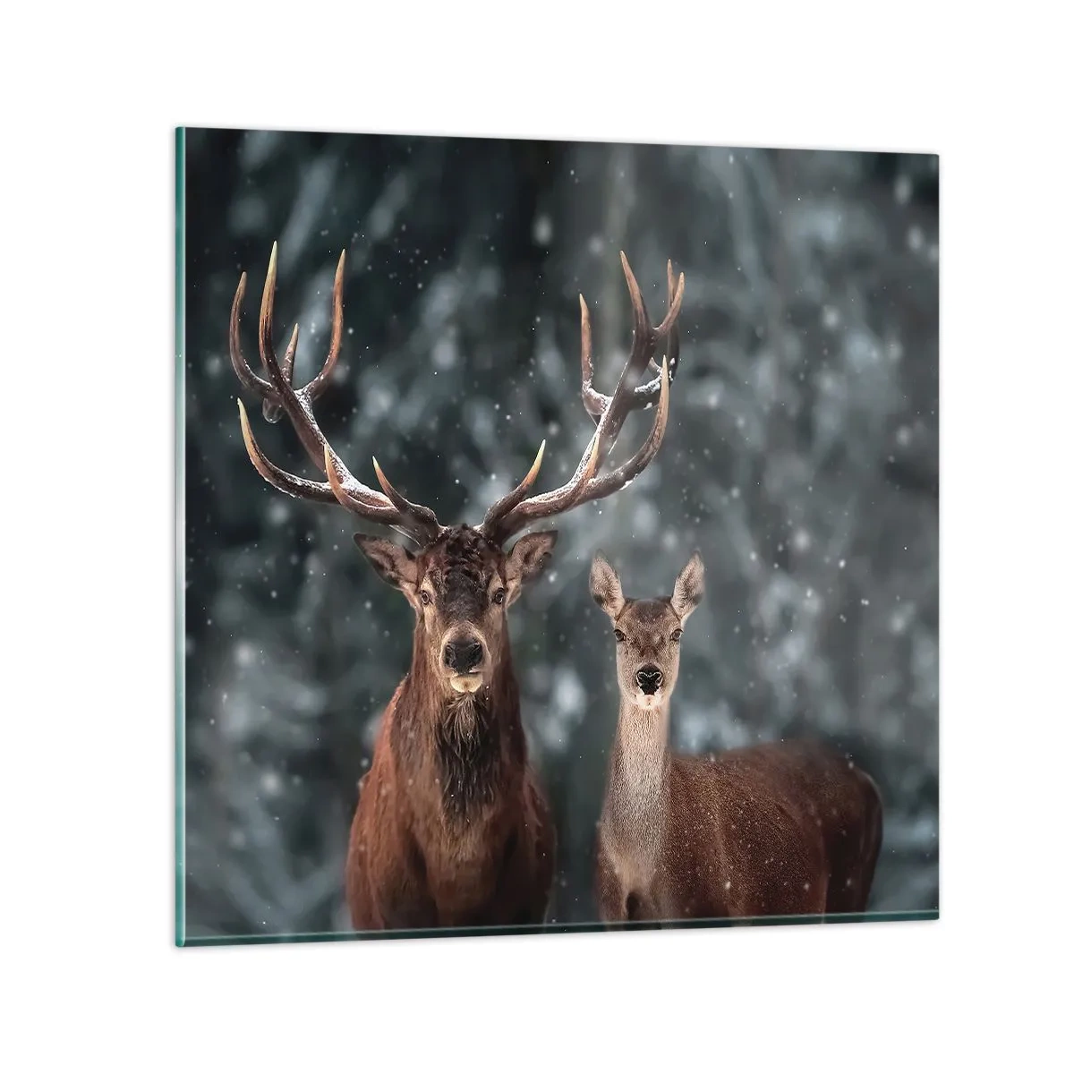 Glass picture - Master of the Forest with His Wife - 50x50 cm