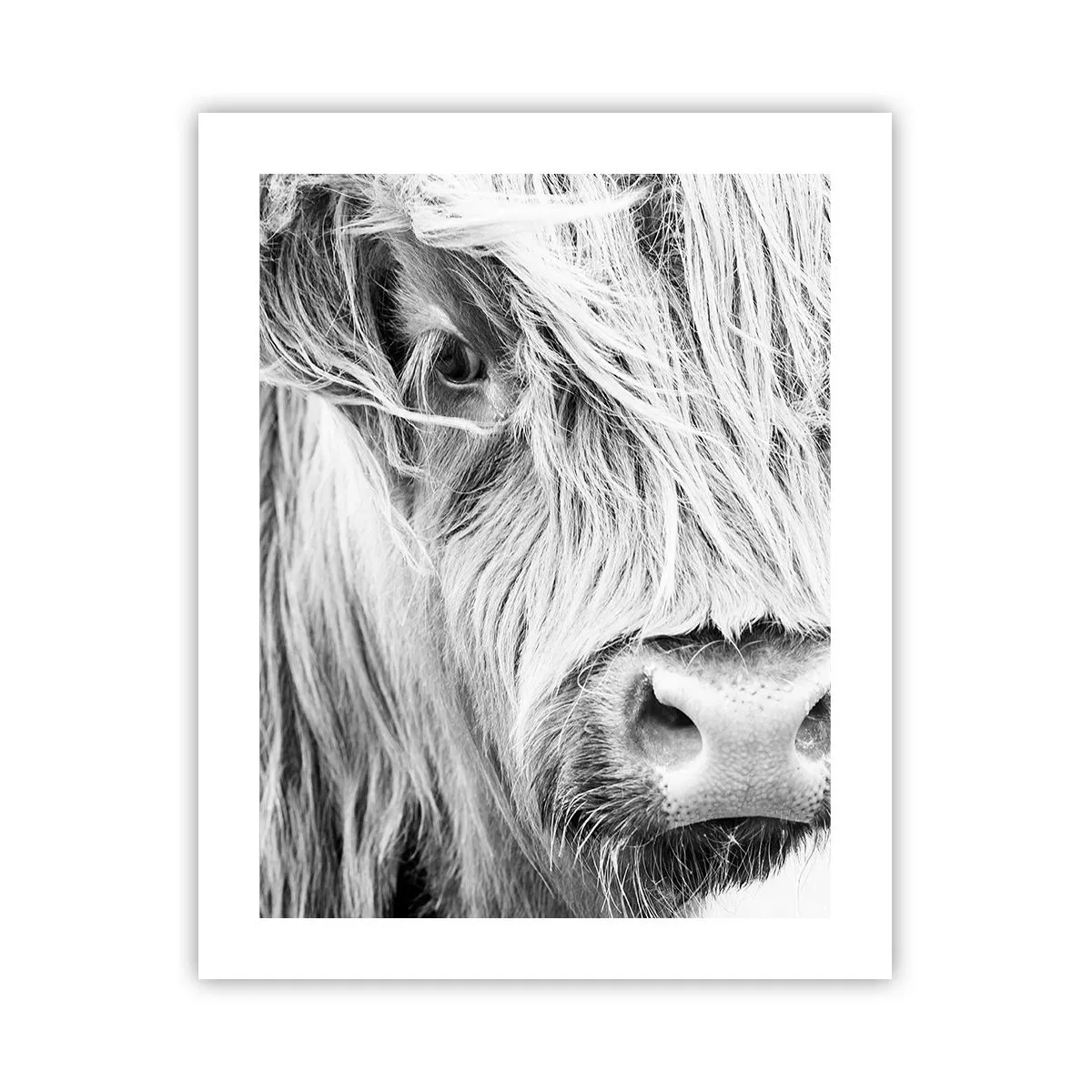 Poster - Scottish Wilderness - 40x50 cm