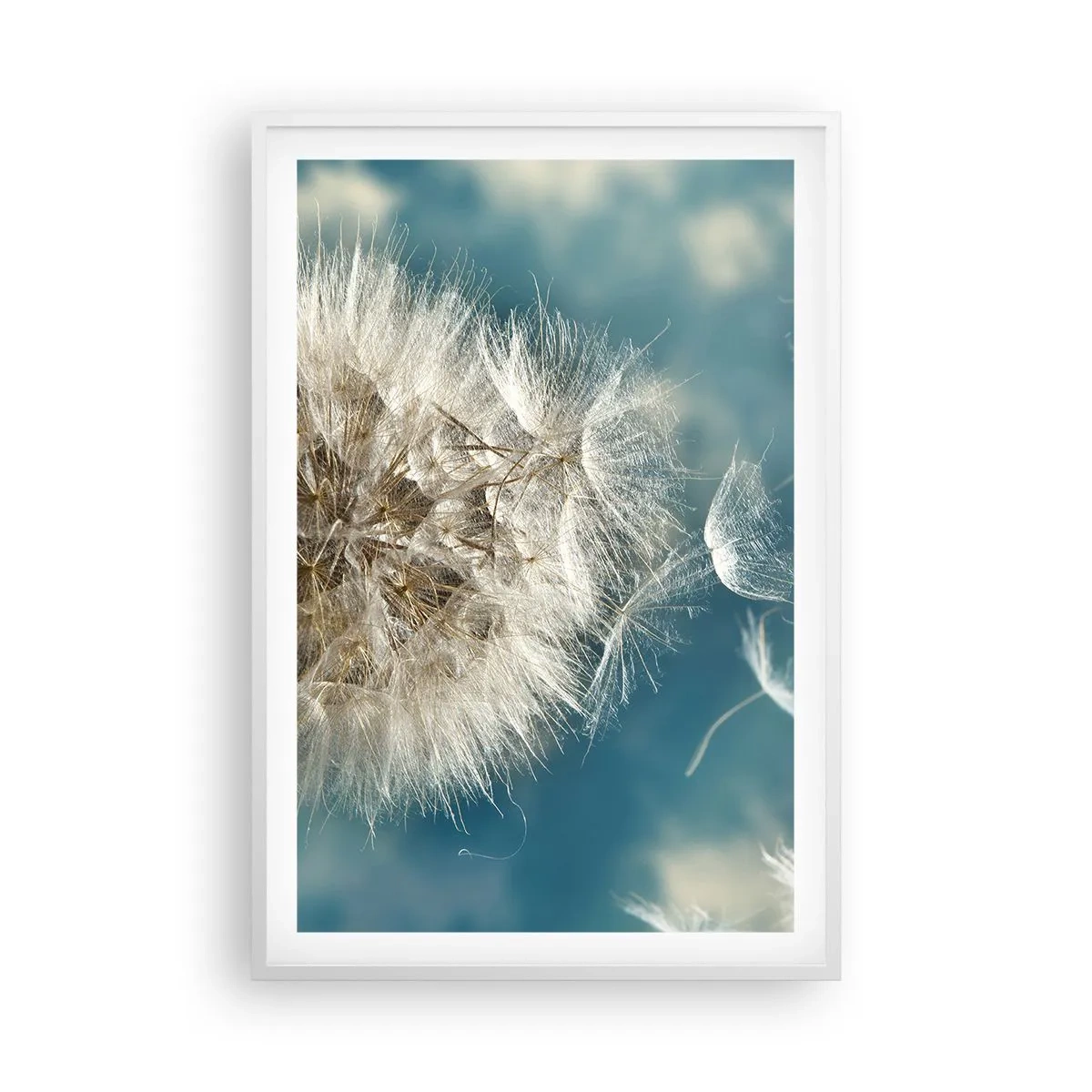 Poster in white frmae - Breath of an Angel - 61x91 cm