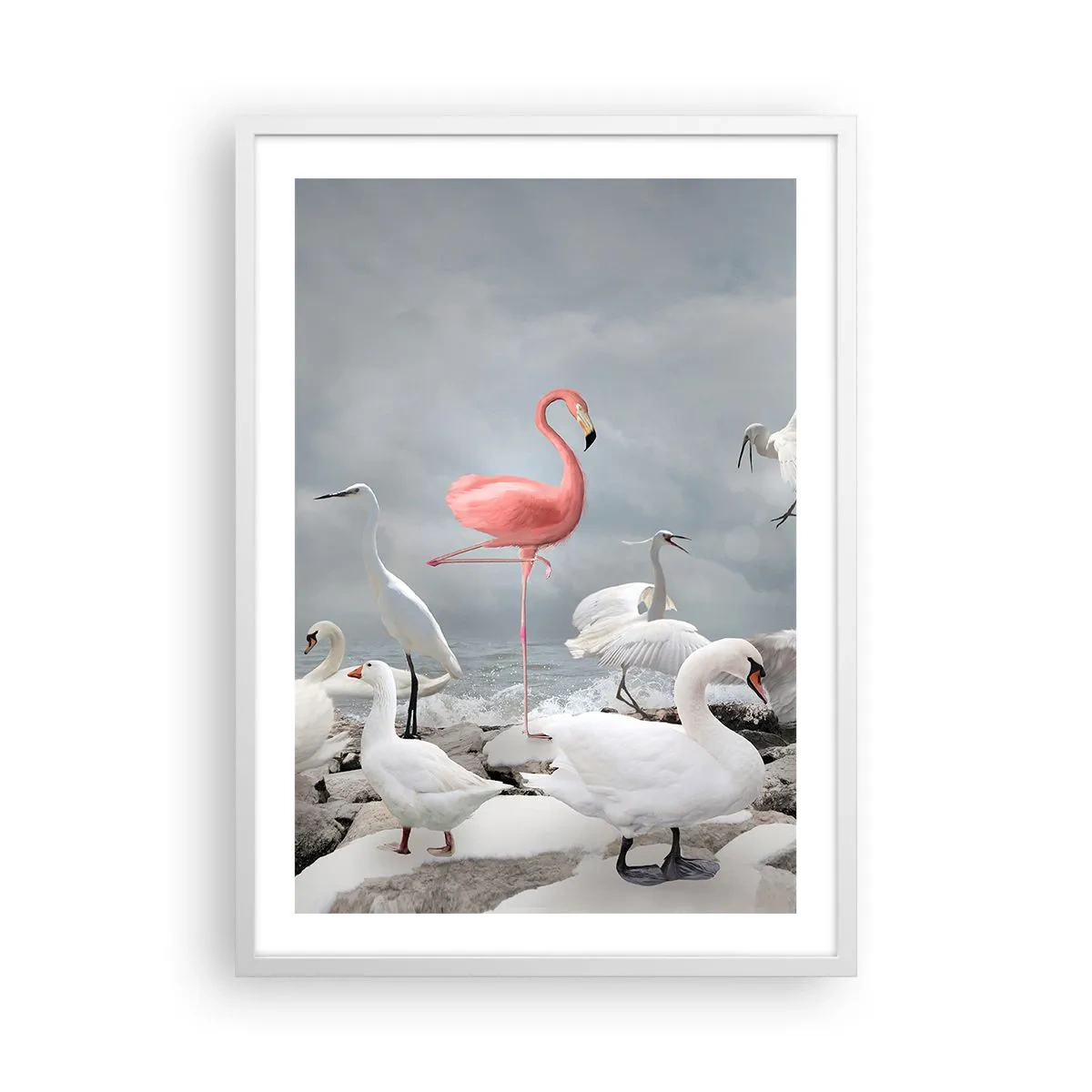 Poster in white frmae - Where Did I Come from? - 50x70 cm