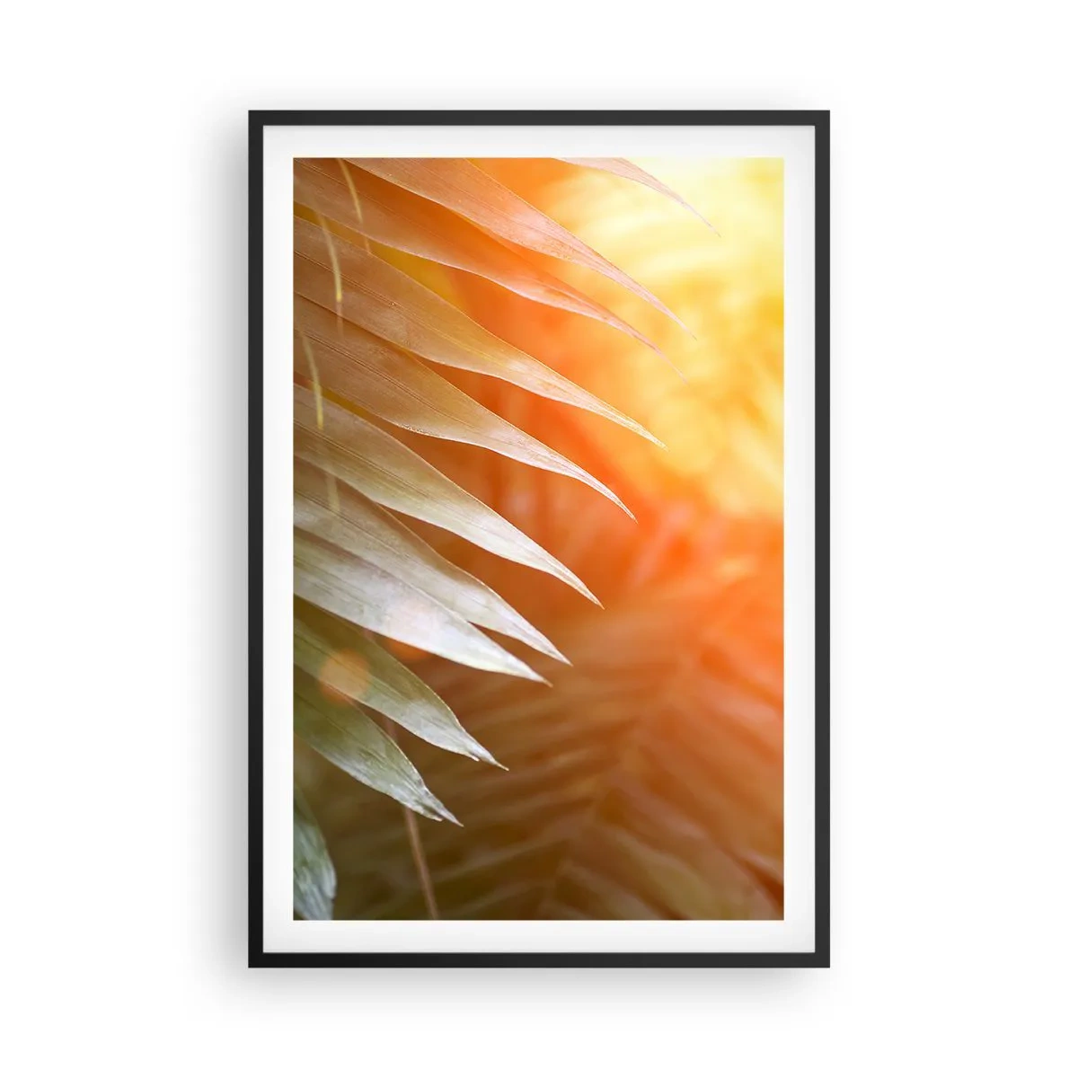 Poster in black frame - Morning in the Jungle - 61x91 cm
