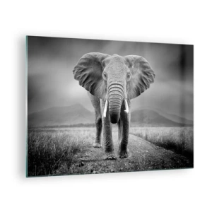 Glass picture - Elephant on the savannah in black and white - 70x50cm - Welcoming of the Host - Modern wall decoration for the living room and bedroom ARTTOR