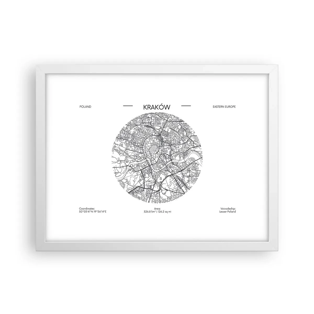 Poster in white frmae - Anatomy of Crocow - 40x30 cm