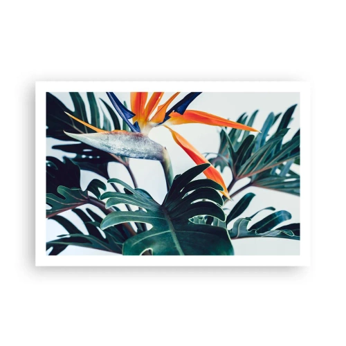 Poster - Birdy Bush - 91x61 cm
