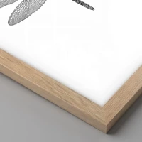 Light Oak