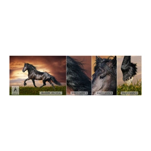 Photo Wallpaper Sample Premium Sand - Black Prince - Animals, Arabian horse, Landscape - 100x30 cm