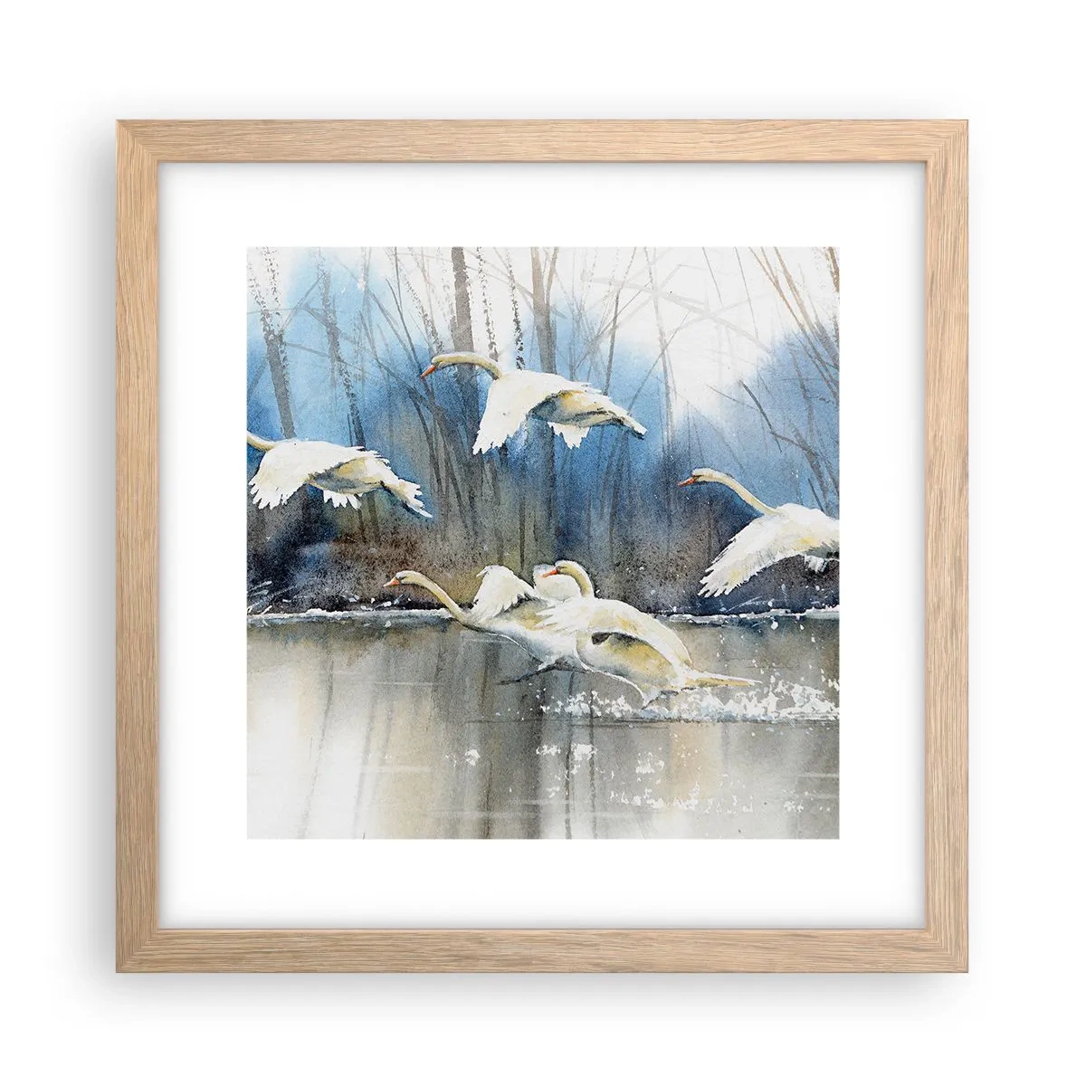 Poster in light oak frame - Like in a Fairy Tale about Wild Swans - 30x30 cm