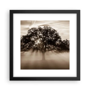 Poster in black frame - Tree of Good Knowledge - 30x30 cm