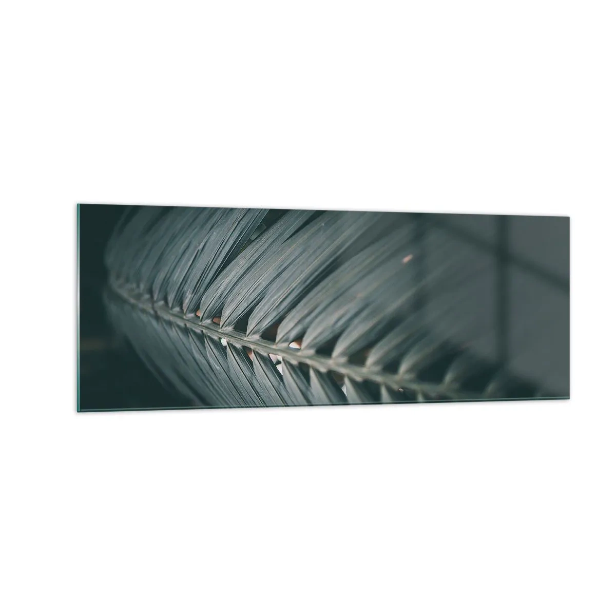 Glass picture - Precision of Nature - 140x50 cm