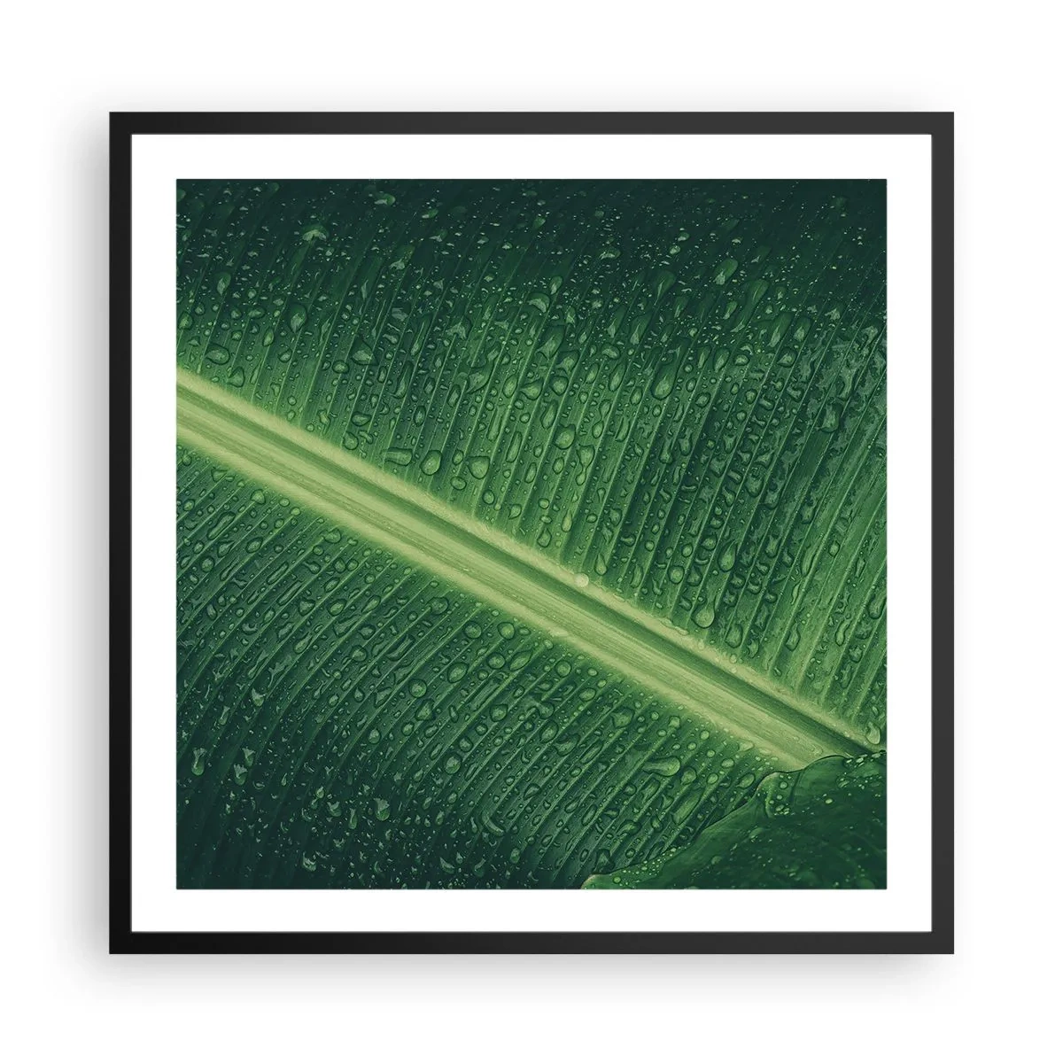 Poster in black frame - Structure of Green - 60x60 cm