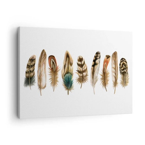 Canvas picture - Decorative motif of a collection of various feathers - 70x50cm - Feather Variation - Modern wall decoration for the living room and bedroom ARTTOR
