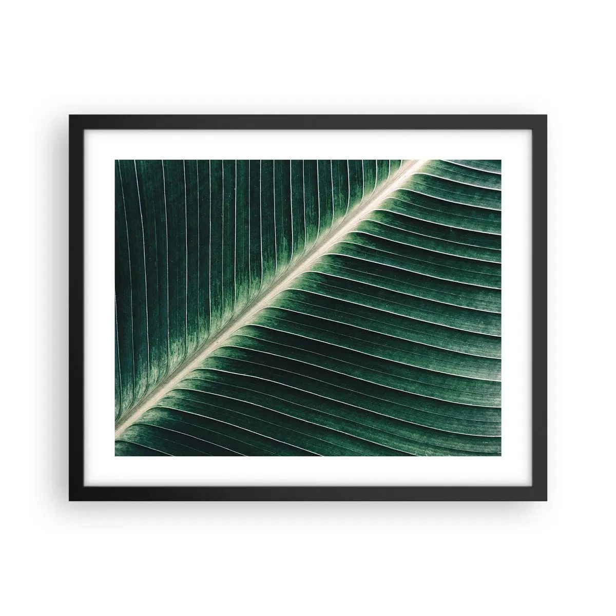 Poster in black frame - Rhythm of Nature - 50x40 cm