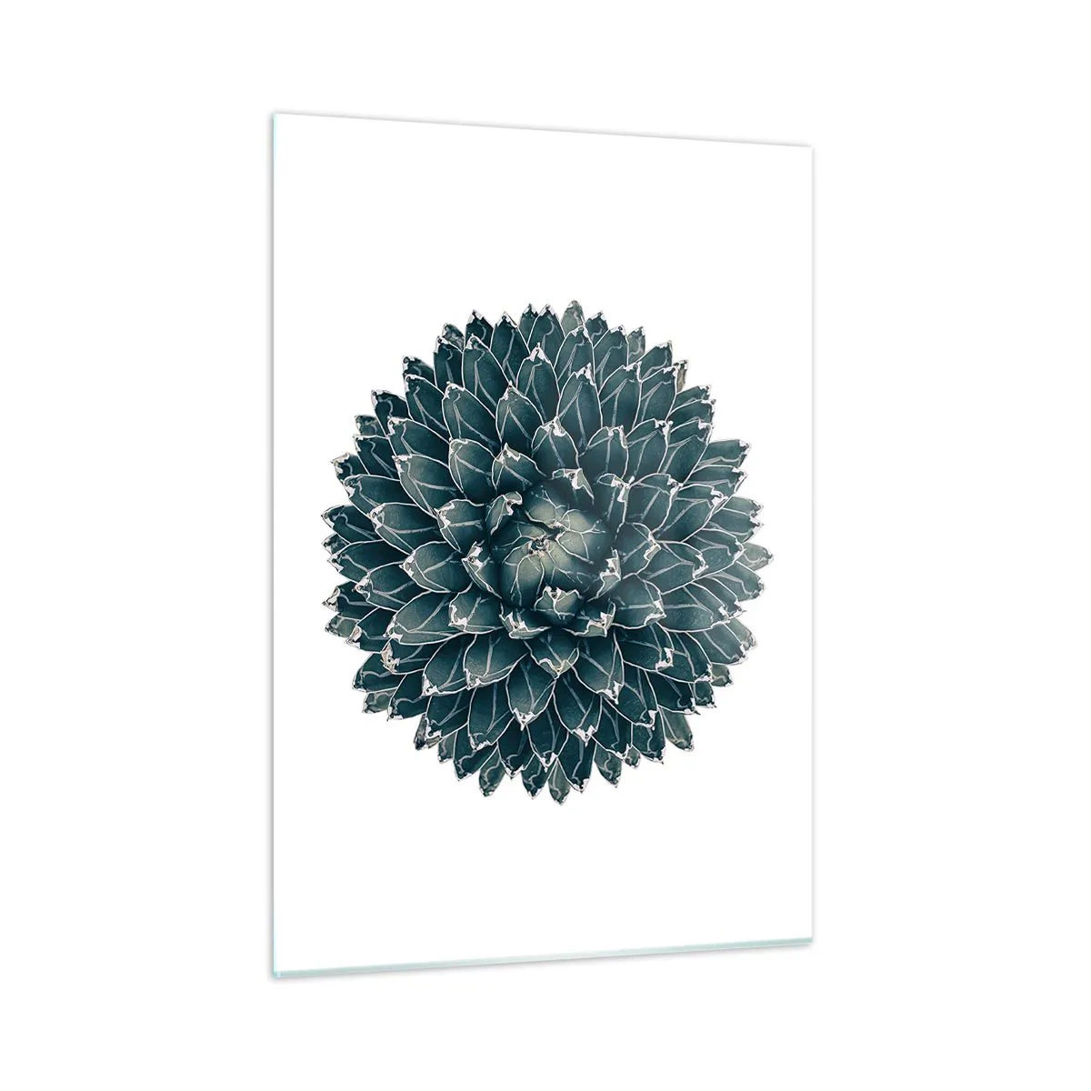 Glass picture - Star of the Desert - 50x70 cm