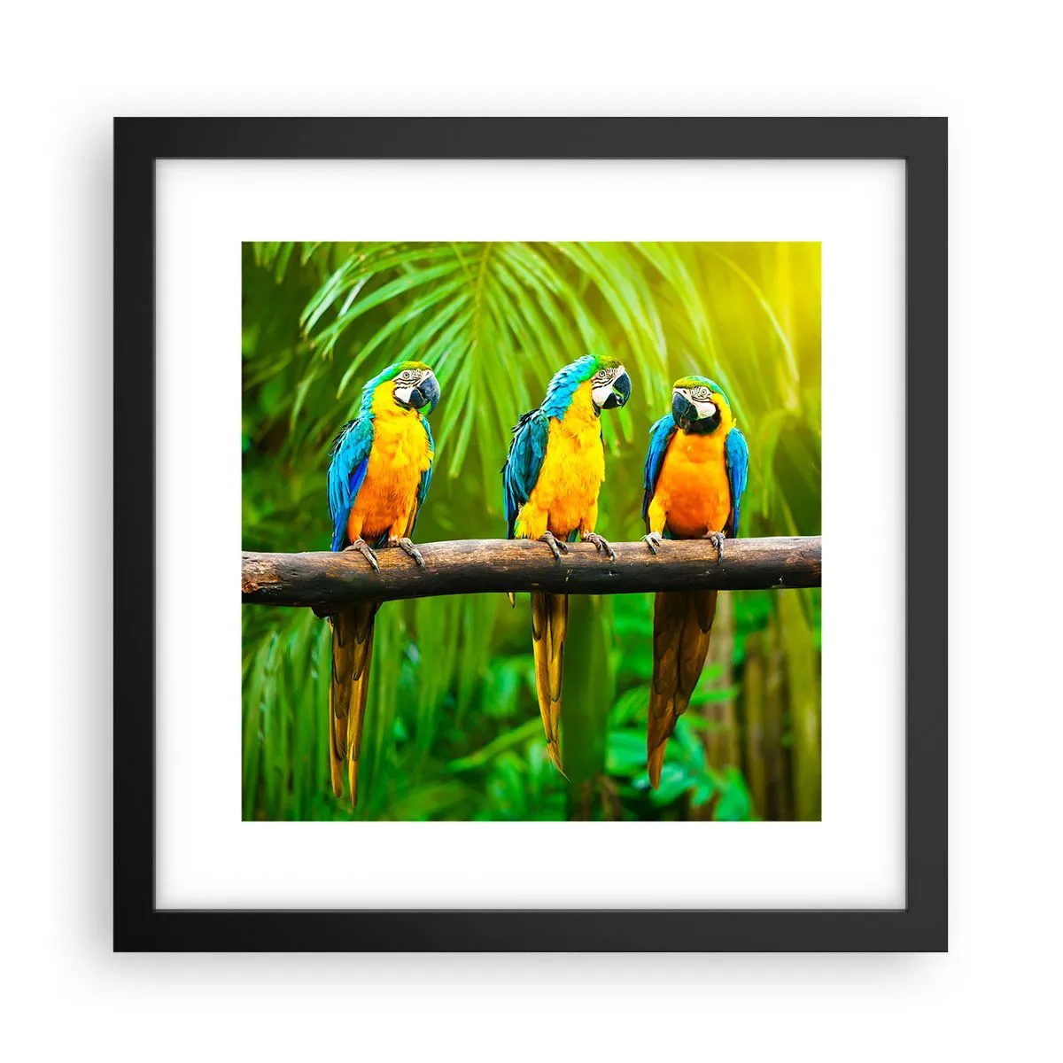 Poster in black frame - Did You Hear that She…? - 30x30 cm
