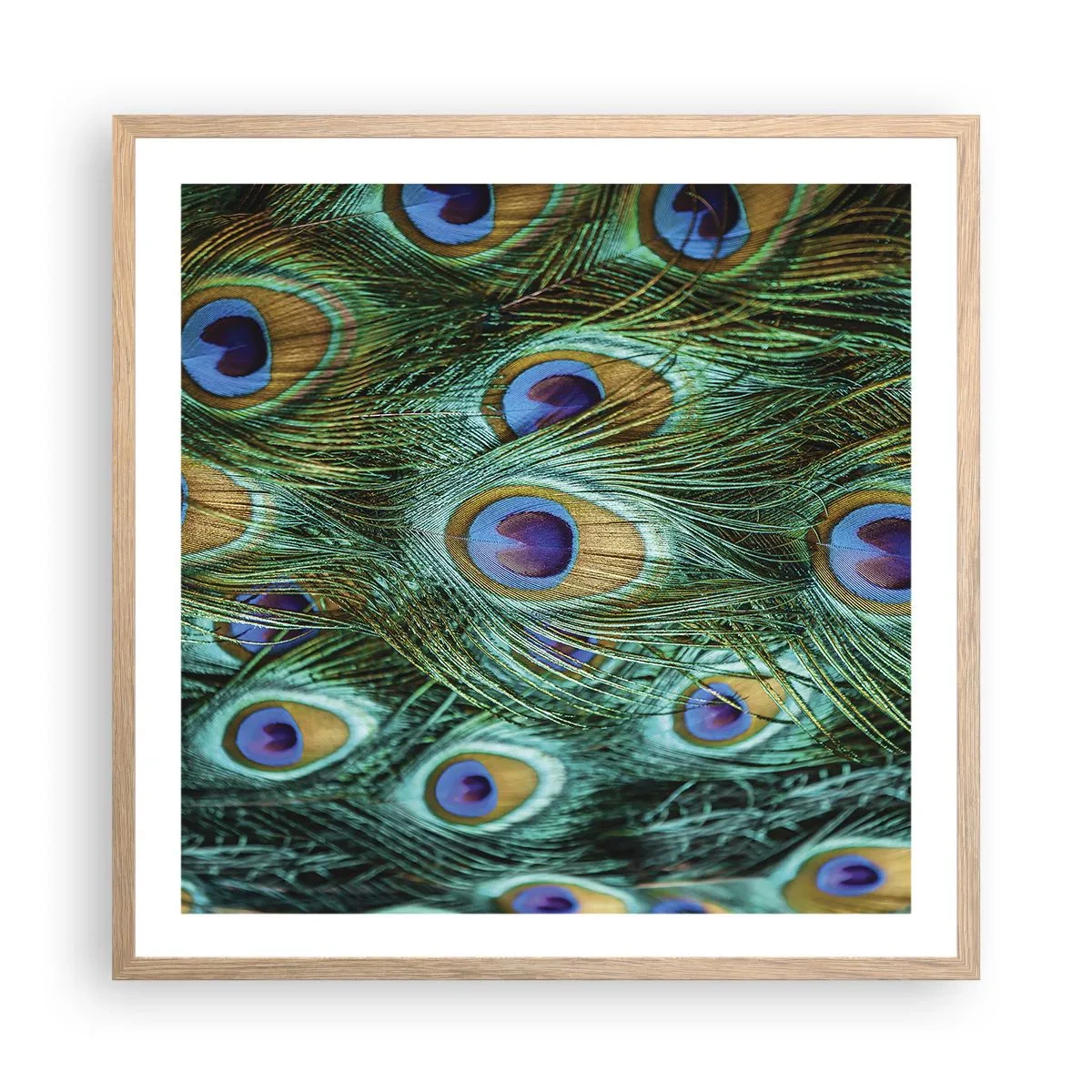 Poster in light oak frame - Peacock Eyes - 60x60 cm