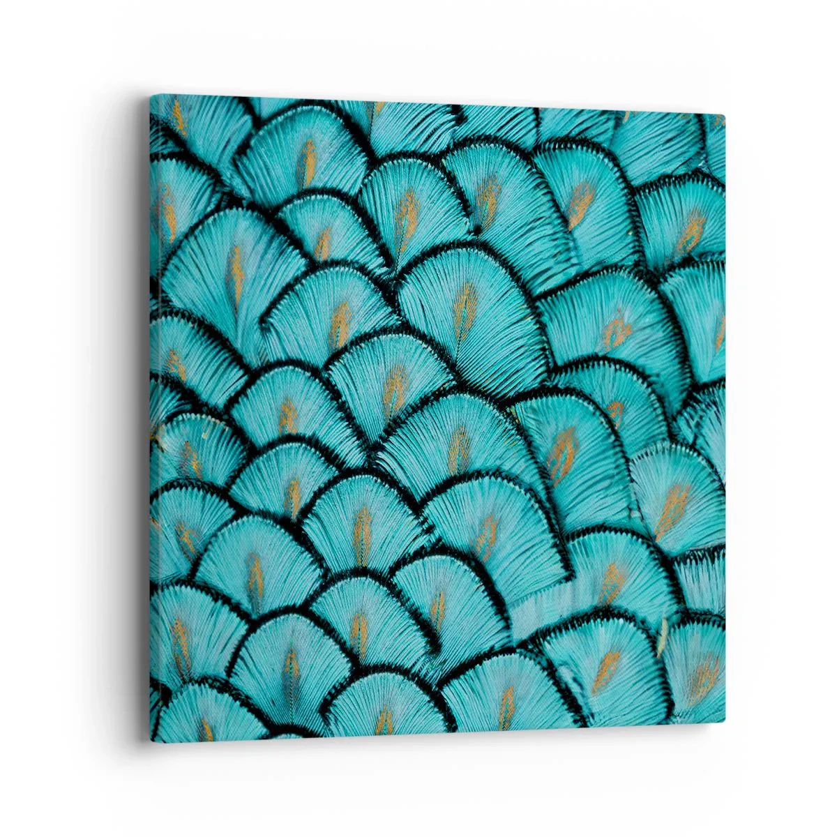Canvas picture - Great Feather Gala - 40x40 cm
