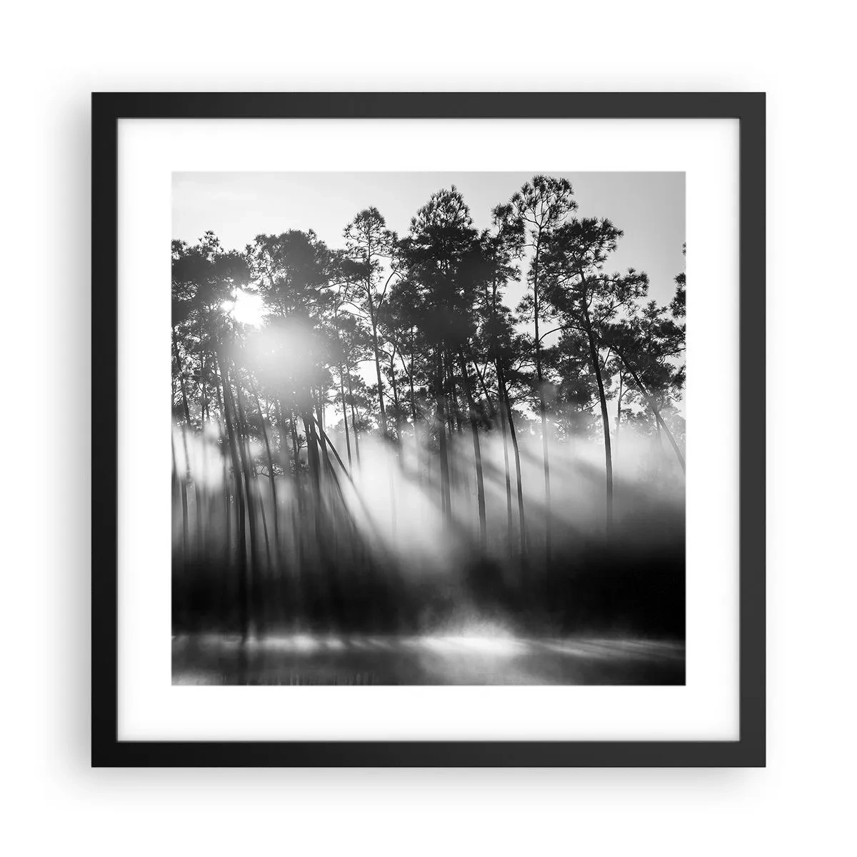Poster in black frame - Unstoppable Sun - 40x40 cm