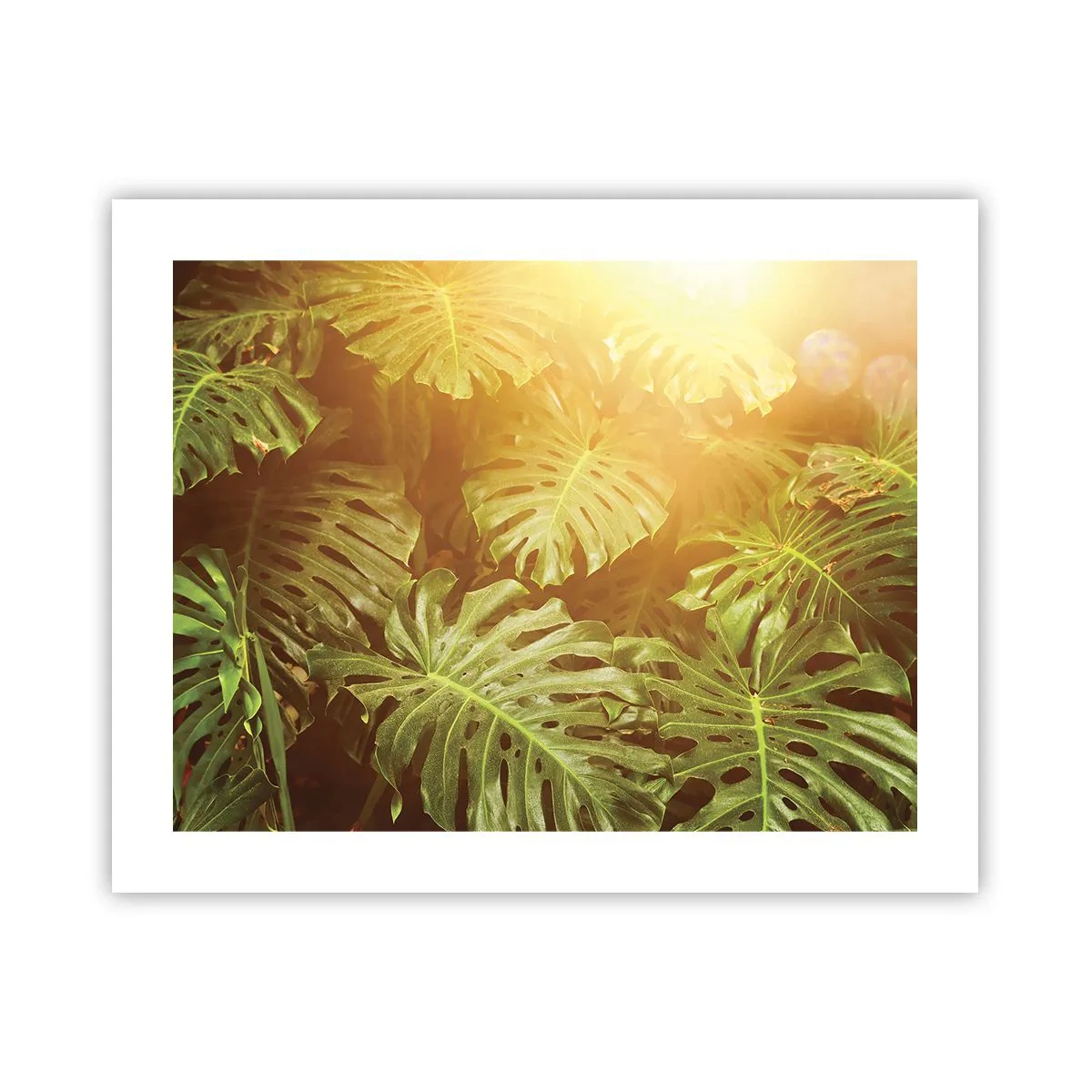 Poster - Walking into the Green - 50x40 cm