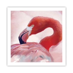 Poster - Bird Look - 60x60 cm