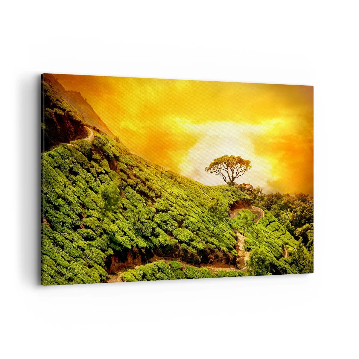 Canvas picture - Winding Path, Green Slope - 120x80 cm