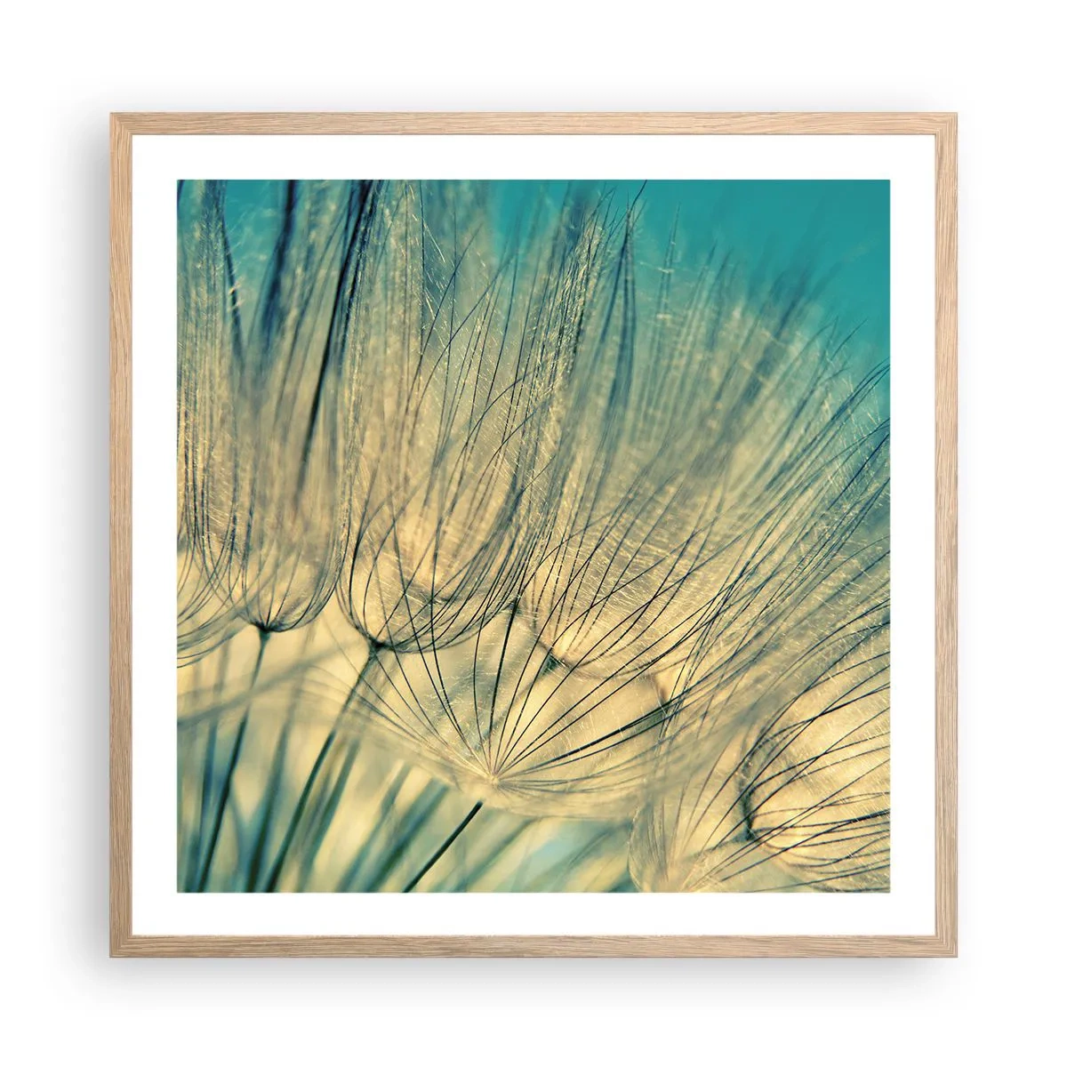 Poster in light oak frame - Waiting for the Wind - 60x60 cm
