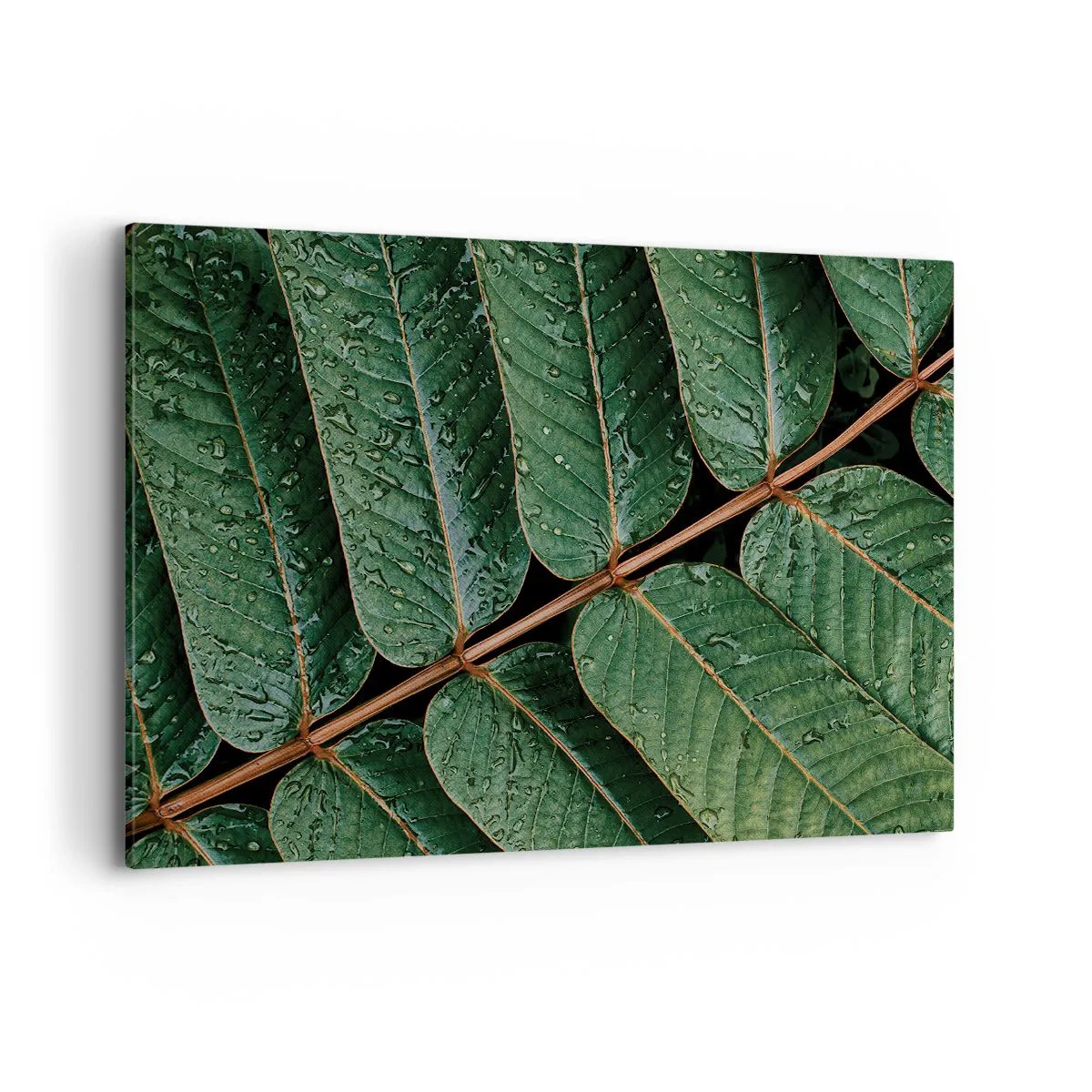 Canvas picture - In Green Rhythm - 120x80 cm