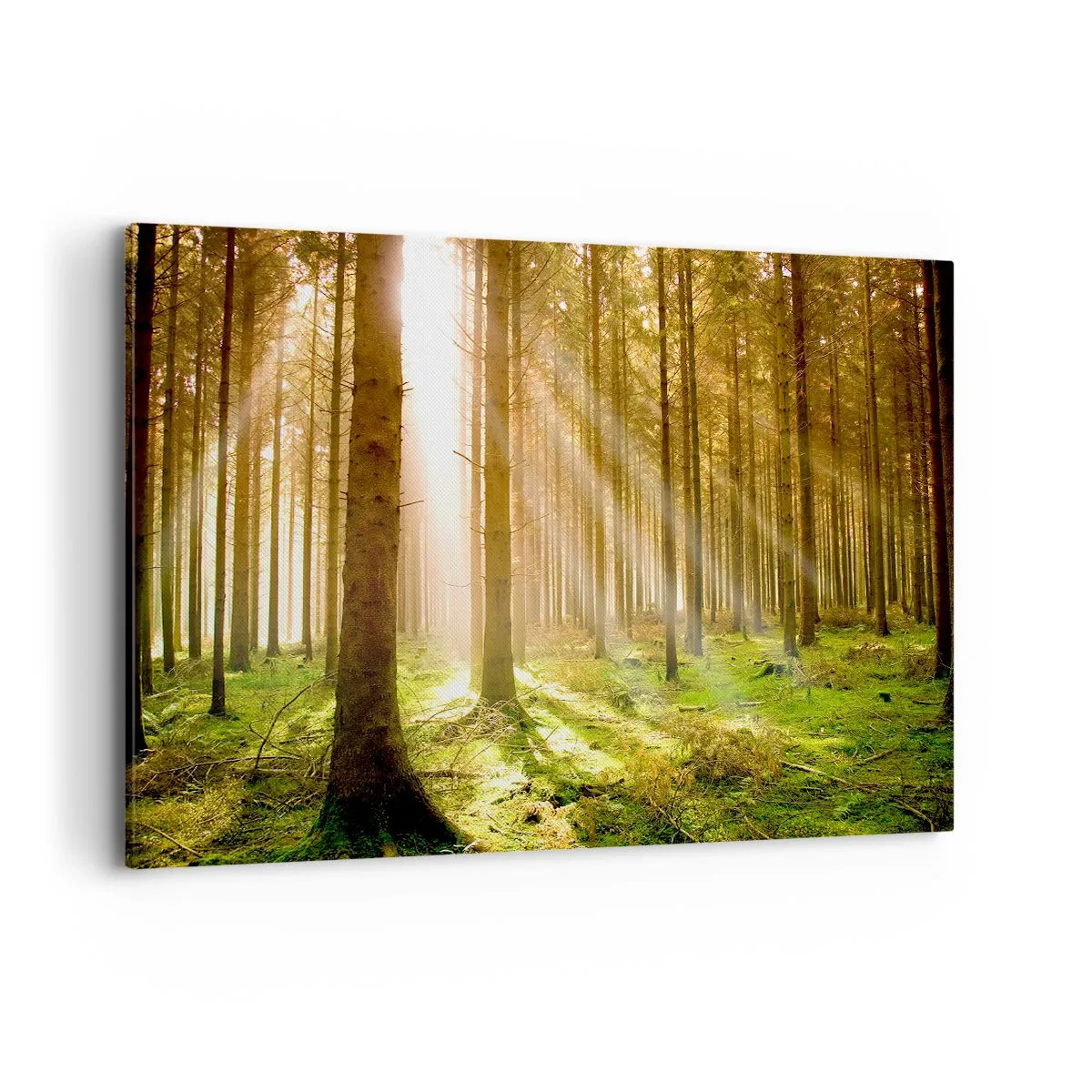 Canvas picture - Elfs Will Be Here Soon - 120x80 cm