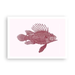Poster - Dweller of Exotic Waters - 100x70 cm