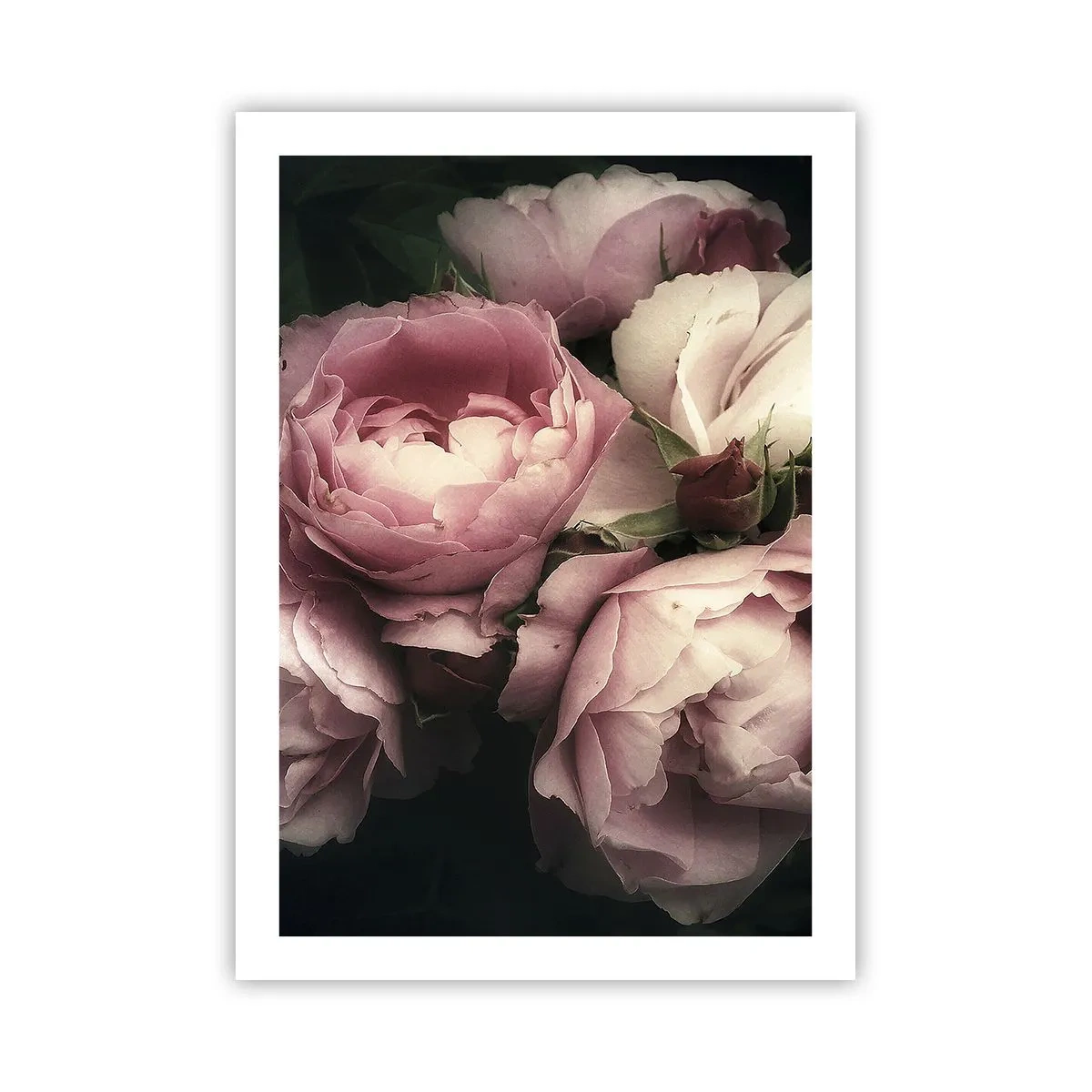 Poster - Belle Epoque Charm - 50x70 cm