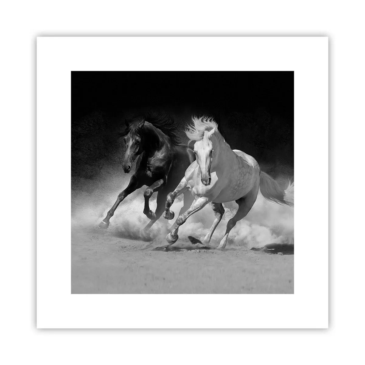 Poster - Gallop of Freedom - 30x30 cm